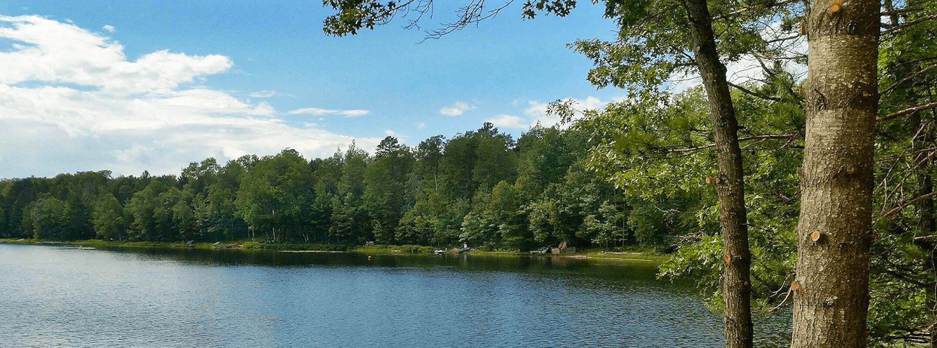 Lake Property in Northern WI.