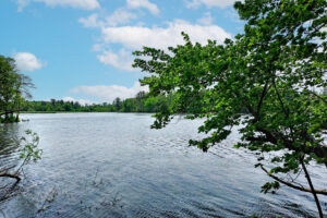 Southwest Wilake Lake Properties Now For Sale!